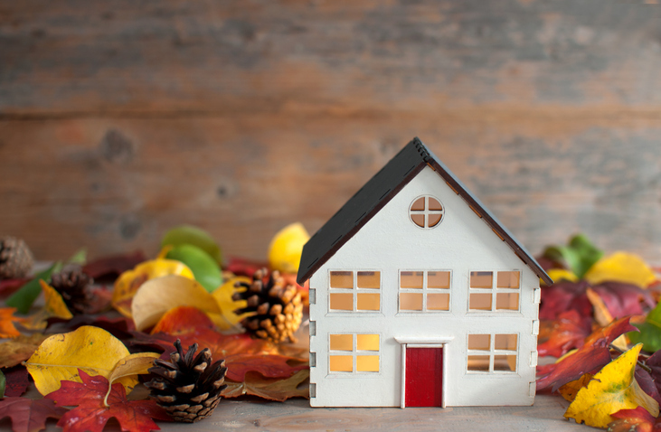 Our Guide to Colorado's Fall Rental Landscape